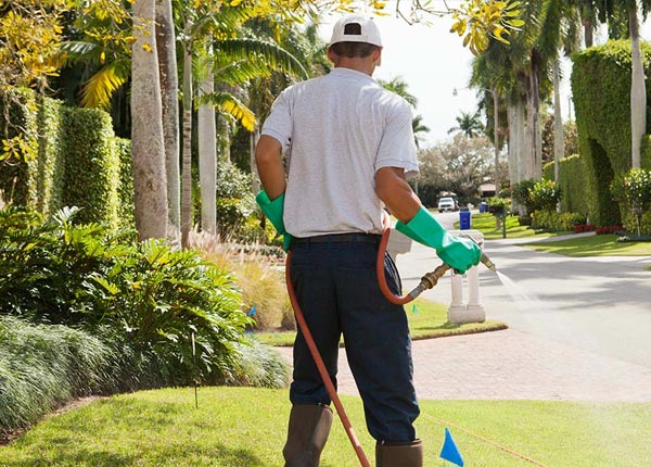 About Saint Peter MN Pest Control